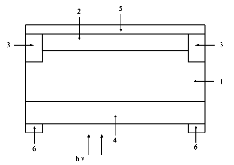Backside illuminated Si-PIN photoelectric detector and preparation method thereof
