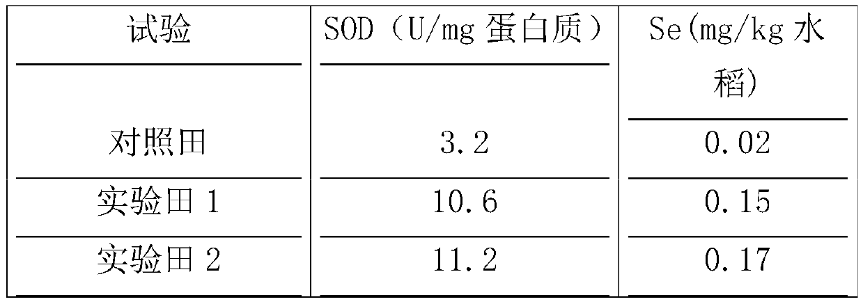 Planting method of rice rich in selenium and SOD