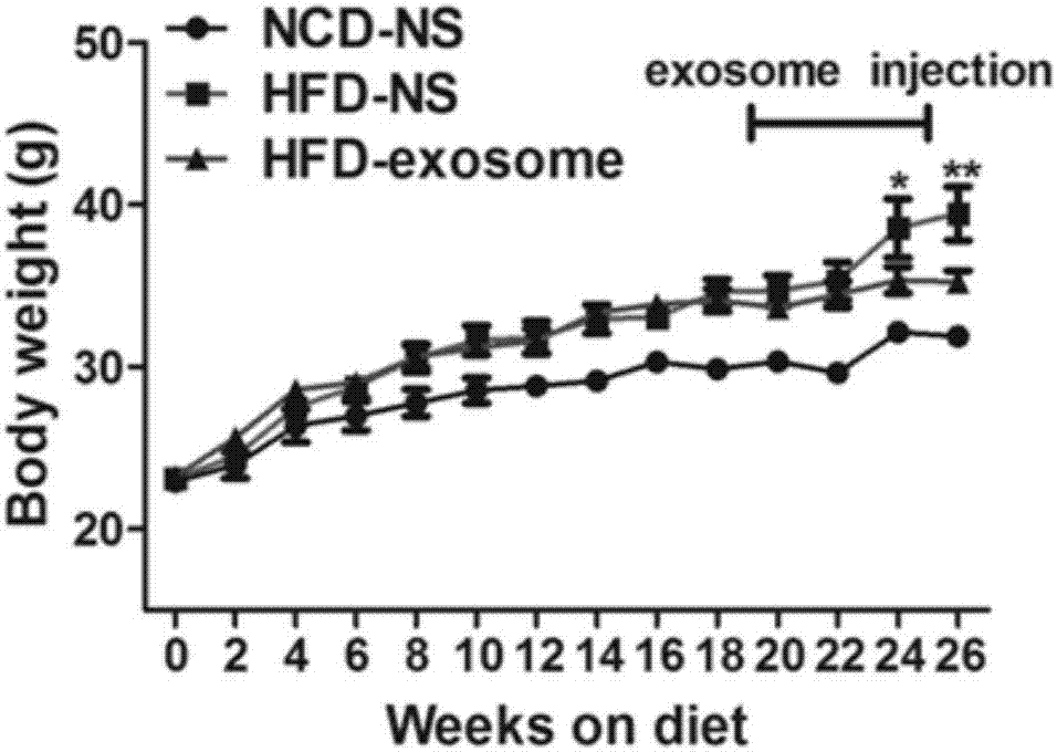 Application of adipose-derived mesenchymal stem cell exosome in preparation of medicines for obesity treatment