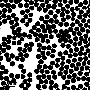 Preparation method of immune colloidal gold particles capable of being used for rapid diagnosis