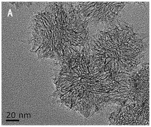 Modified oxidized single-walled carbon nanohorn, its preparation method and application, and method for adsorbing antibiotics