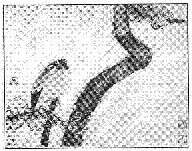 Structure feature based on Chinese painting and calligraphy seal image automatic extracting method