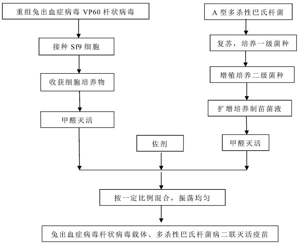 Rabbit hemodisatal virus rod virus carrier, multi -killer Paramia disease two -couplet dying vaccine and preparation method