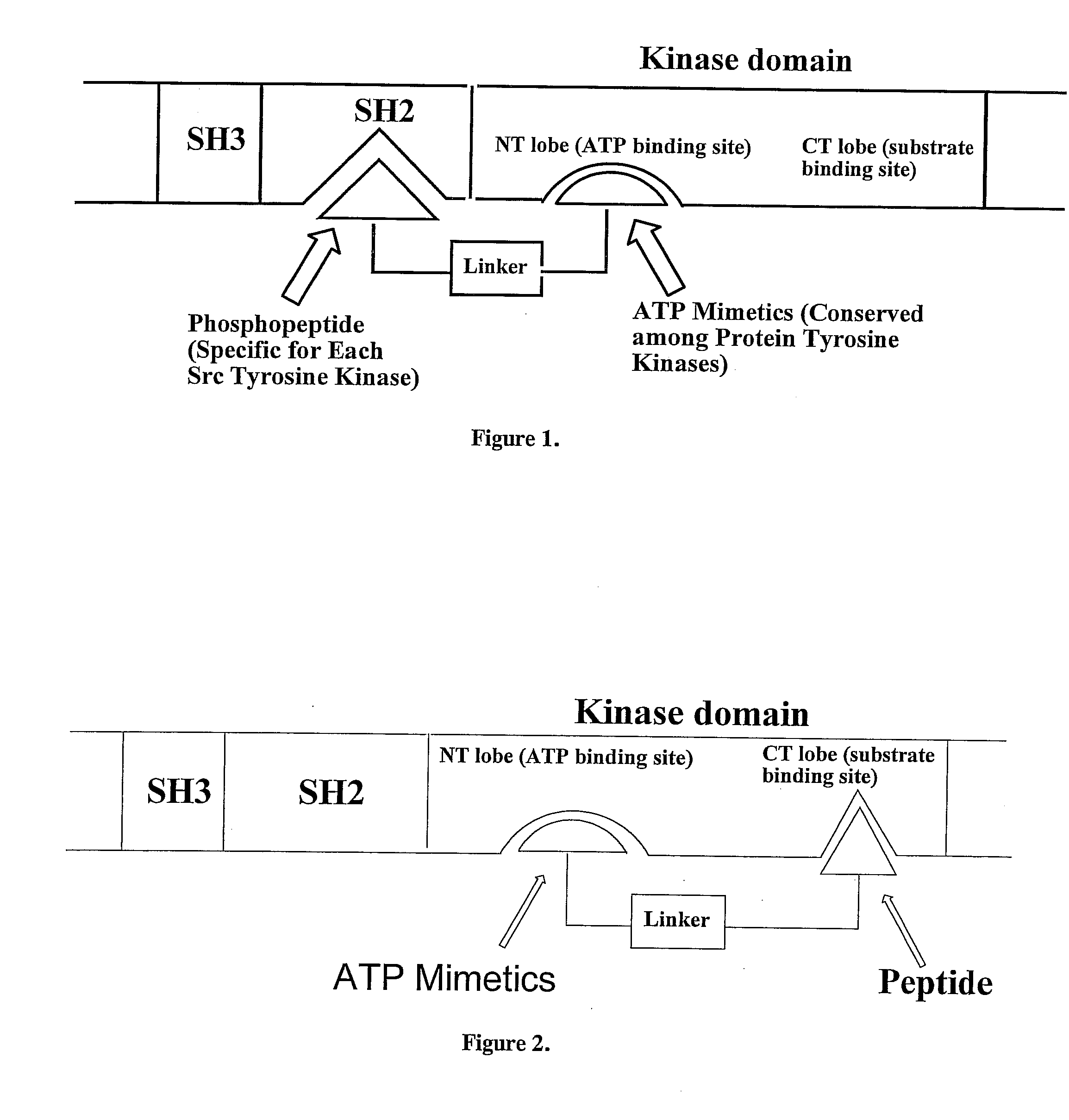 Bisubstrate inhibitors of protein tyrosine kinases as therapeutic agents