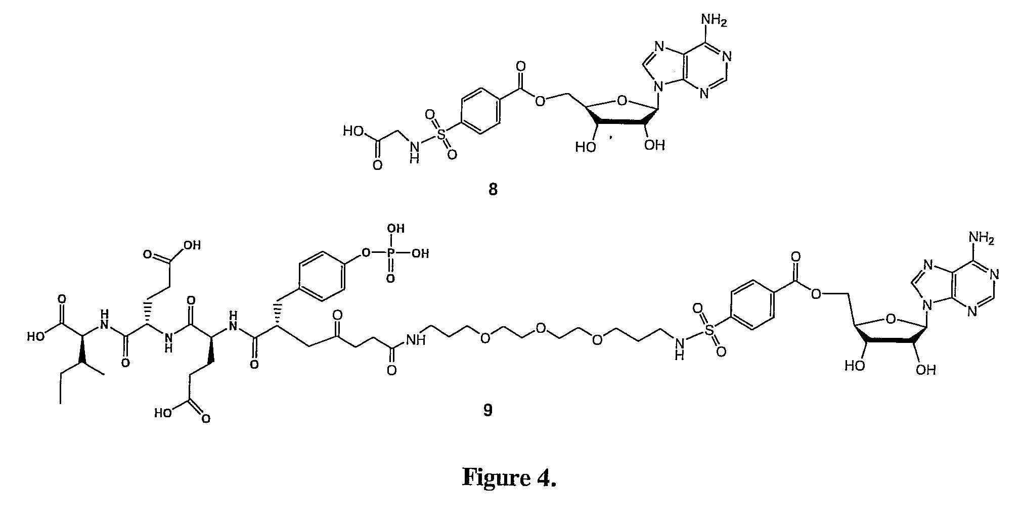 Bisubstrate inhibitors of protein tyrosine kinases as therapeutic agents