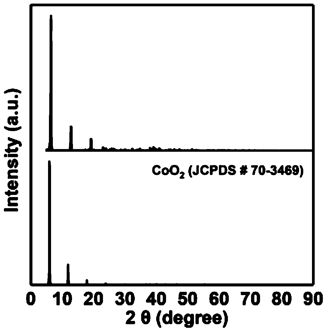 Controllable synthetic lanthanum-doped cobalt oxide nanosheet and preparation method and application thereof