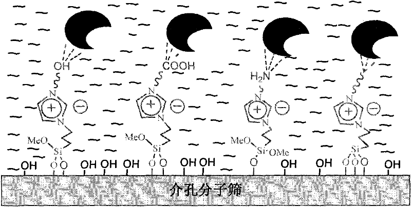 Application of a Functionalized Ionic Liquid Modified Mesoporous Molecular Sieve in Enzyme Immobilization