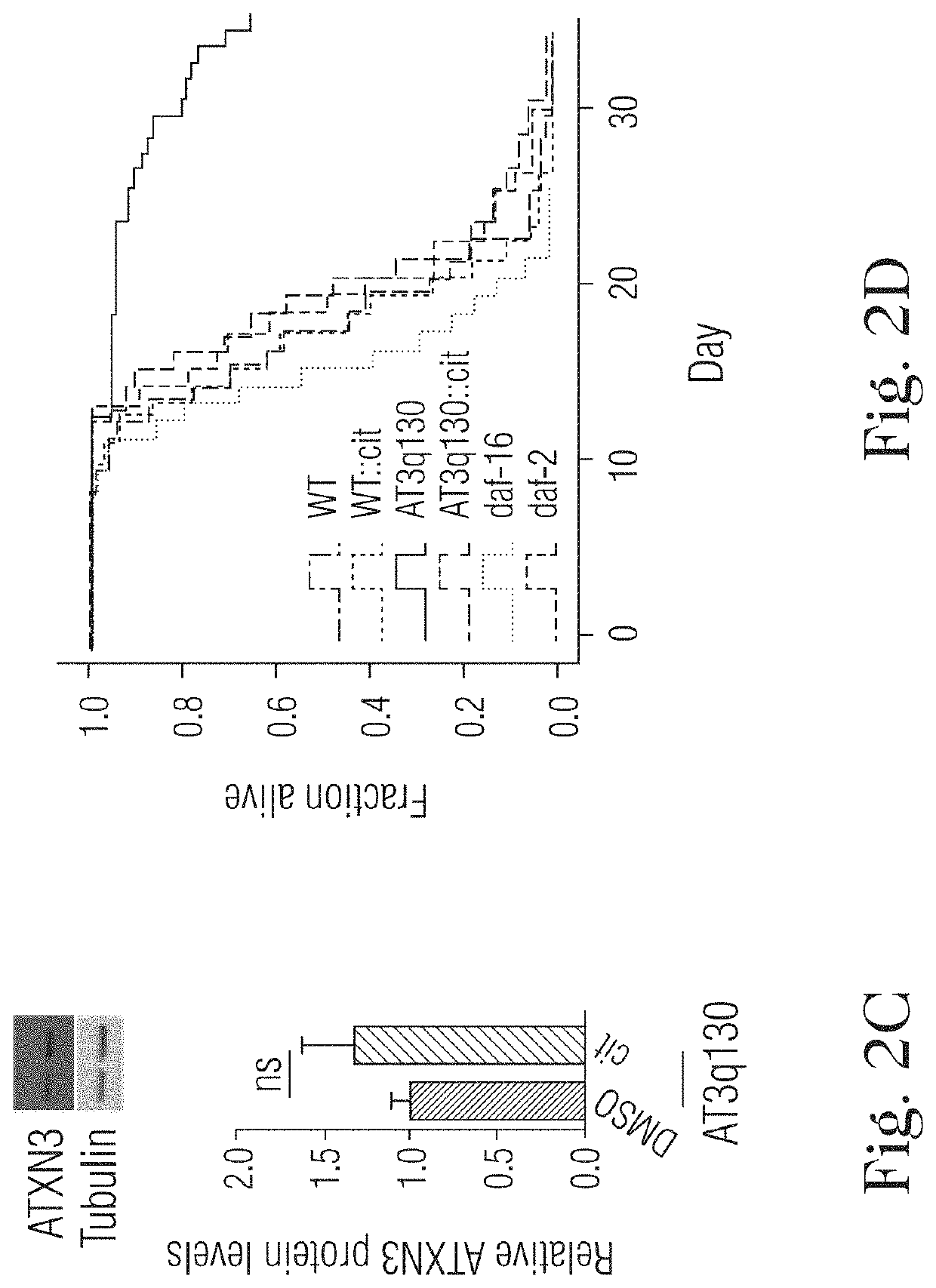 Citalopram or escitalopram for use in the treatment of neurodegenerative diseases