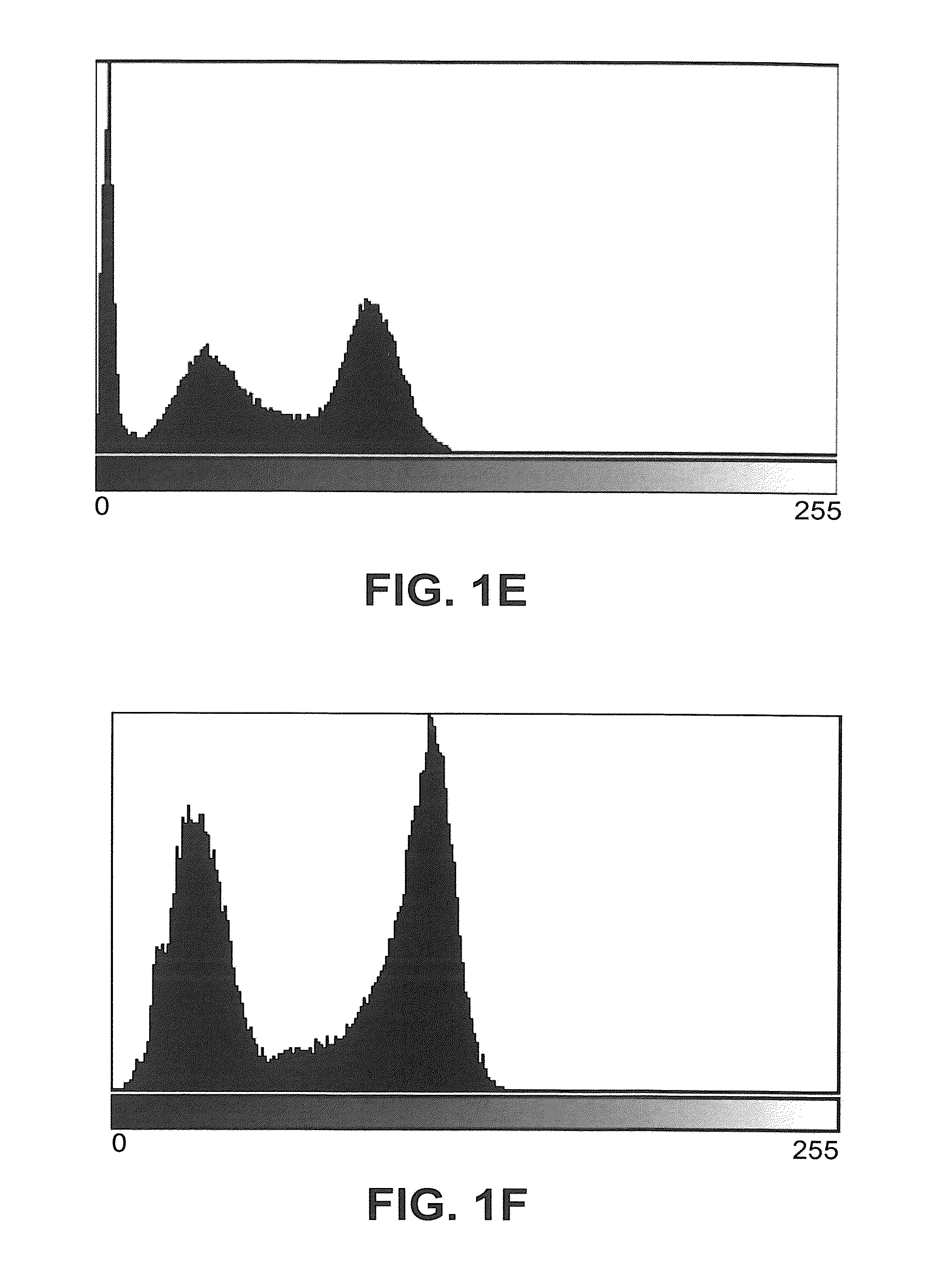 Methods and apparatus for diagnosis and/or prognosis of cancer