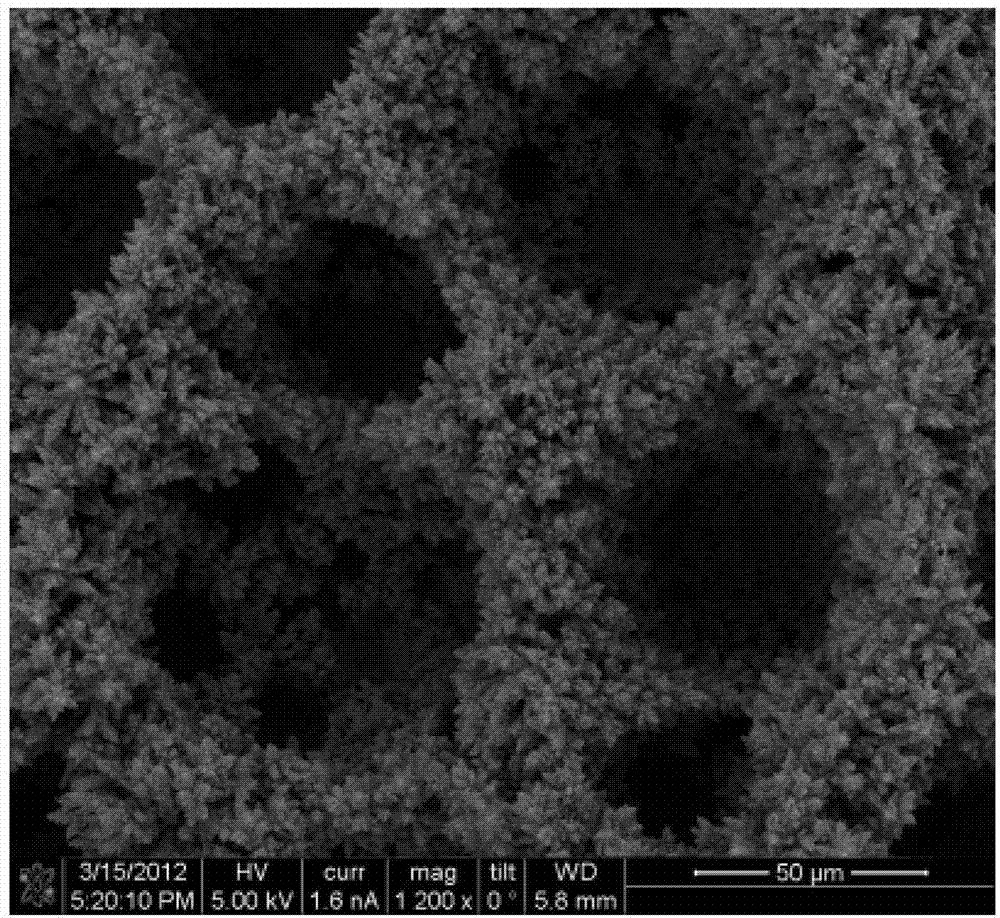 Micro-nano composite porous copper surface structure and preparation method and device thereof