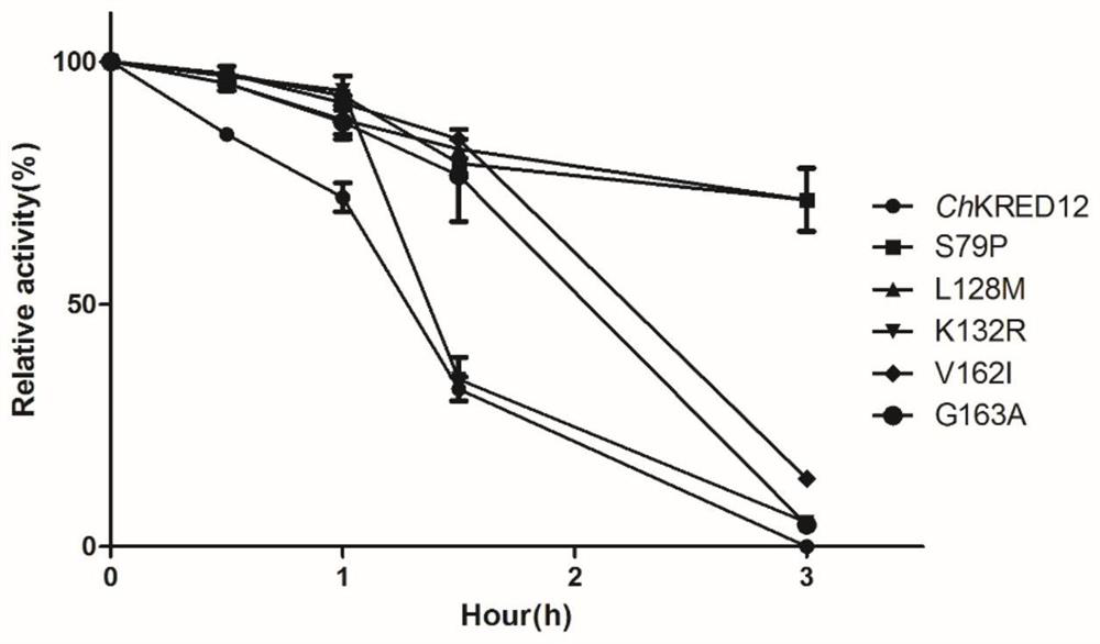 A carbonyl reductase mutant with improved thermostability