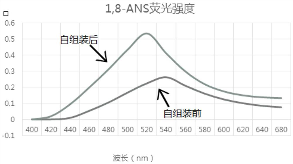 Cell lysis self-assembly polypeptide compound, self-assembly method, self-assembly polypeptide preparation and application