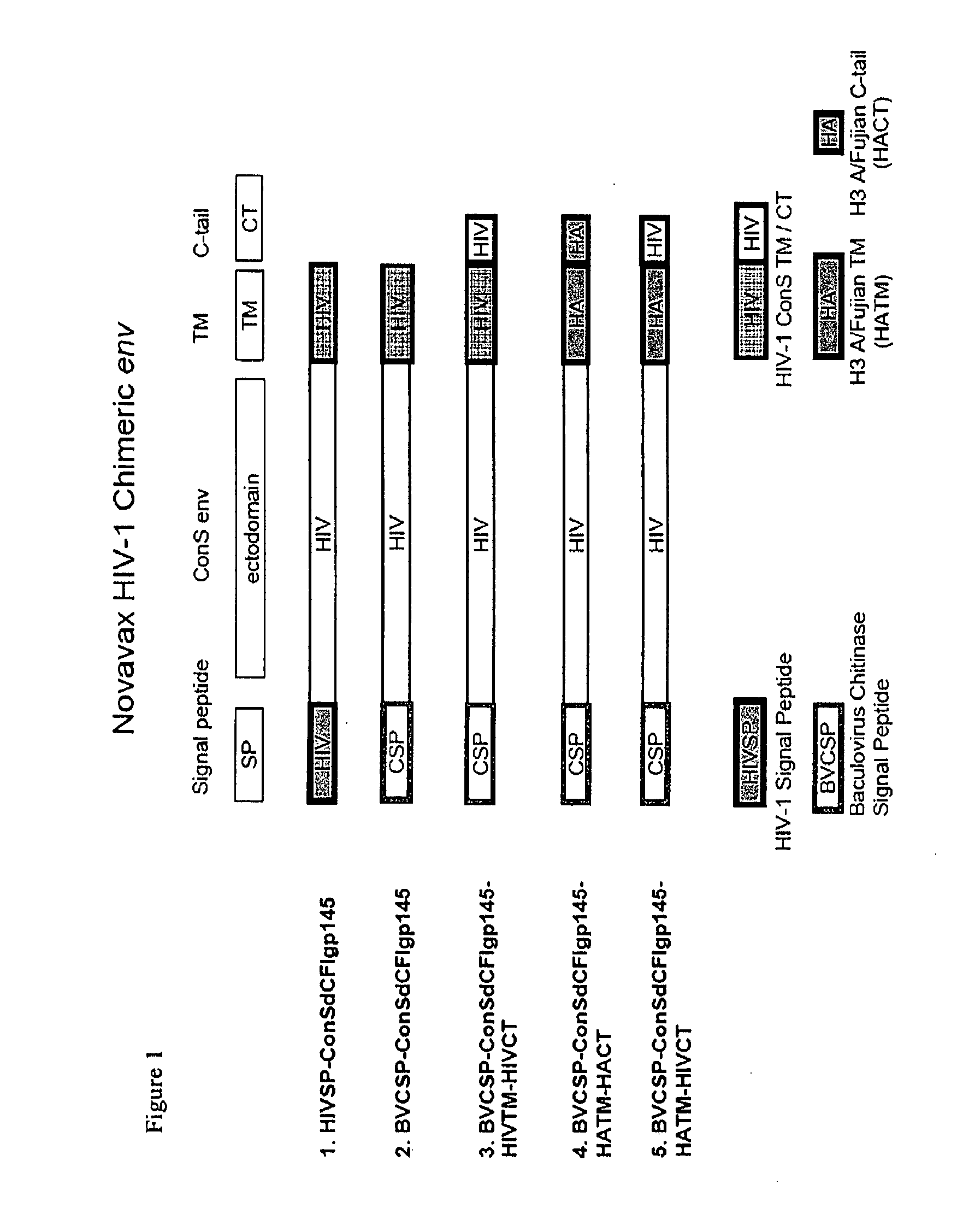 Methods of enhancing protein incorporation into virus like particles