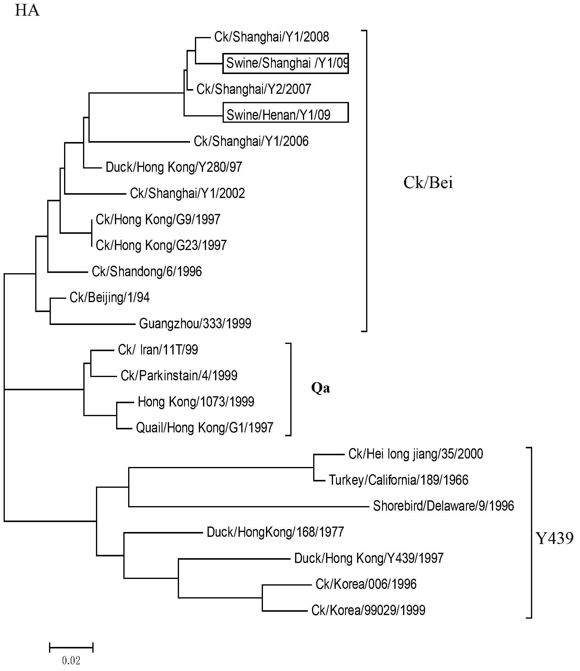 H9N2 swine influenza virus and its kit