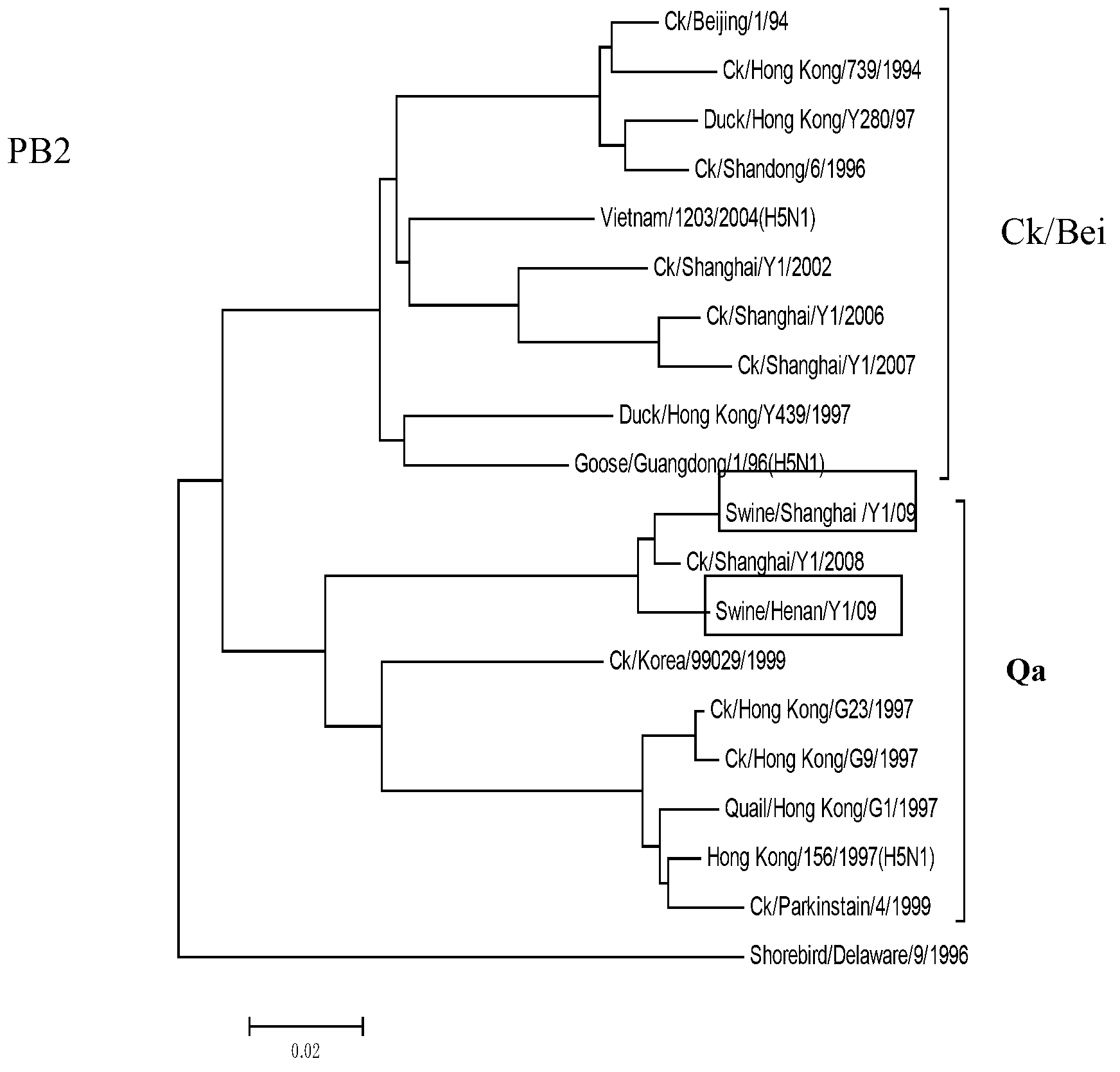 H9N2 swine influenza virus and its kit