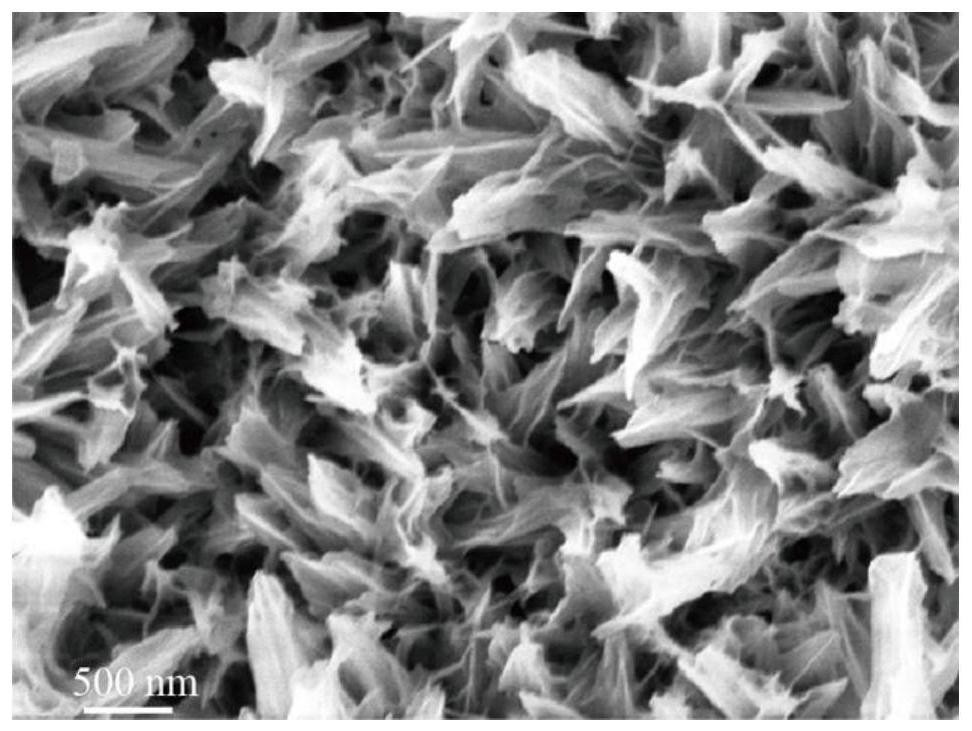 A kind of iron-rich nanobelt oxygen evolution electrocatalyst and preparation method thereof