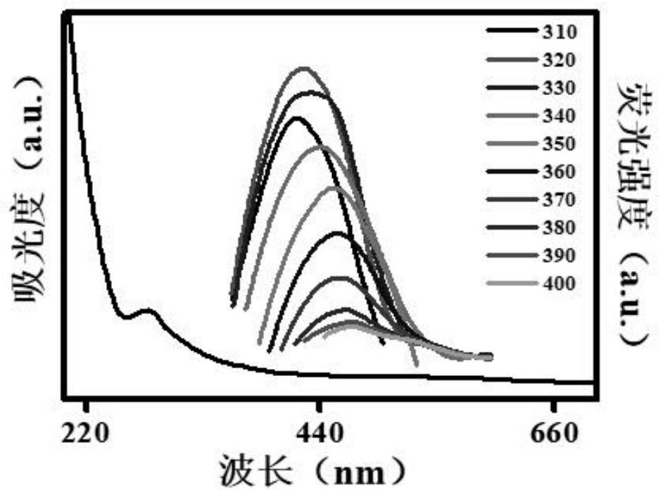 Anthocyanin nanoparticles based on marine polysaccharide carrier and its preparation method and application in targeted delivery