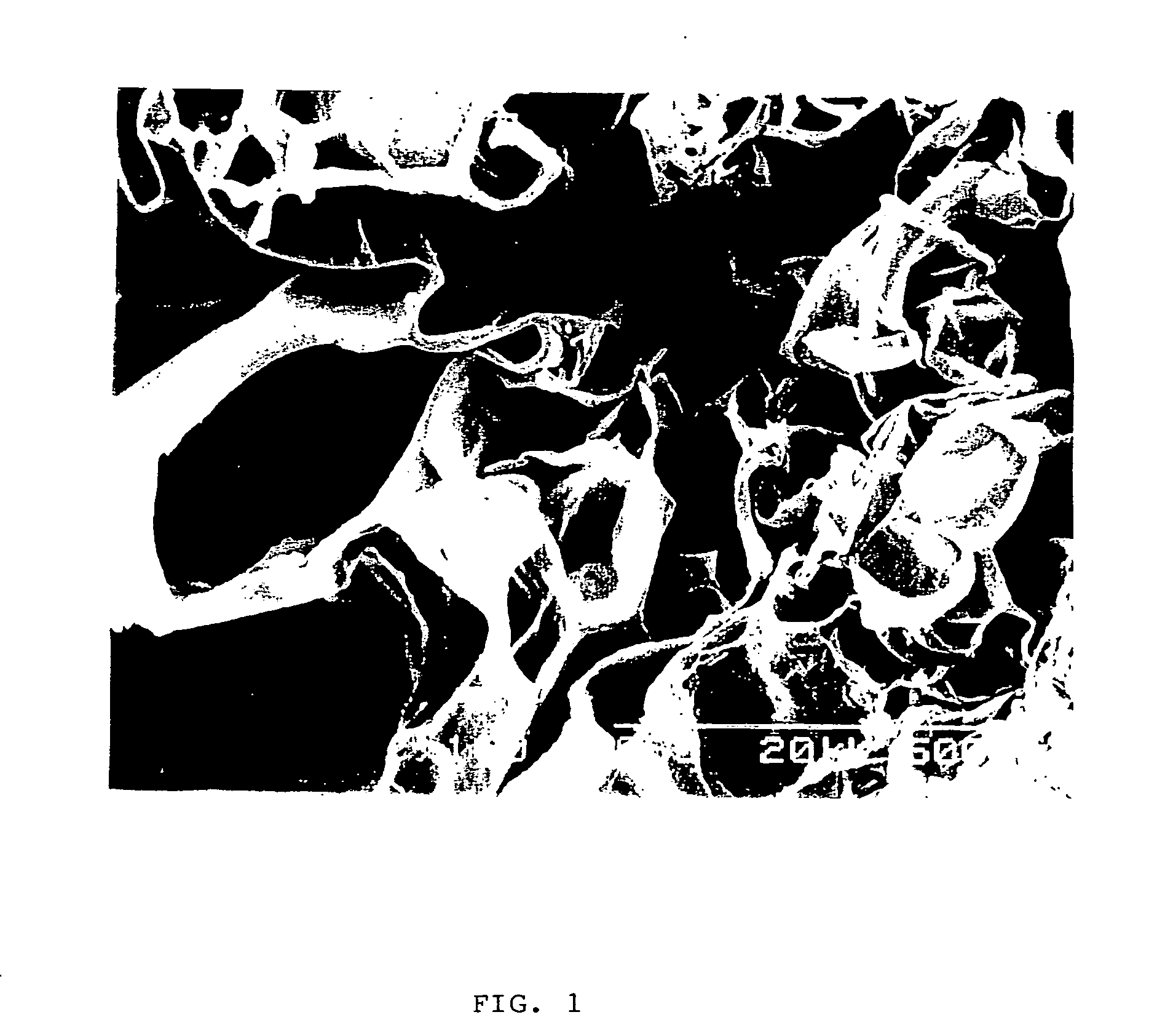 Porous Body Having Biocompatibility And Method For Producing The Same