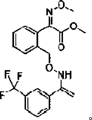 Bactericidal composition containing thifluzamide and trifloxystrobin and application thereof