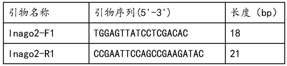 Screening method of solo-LTR toxic candidate strain with Inago2 in AvrPiz-t