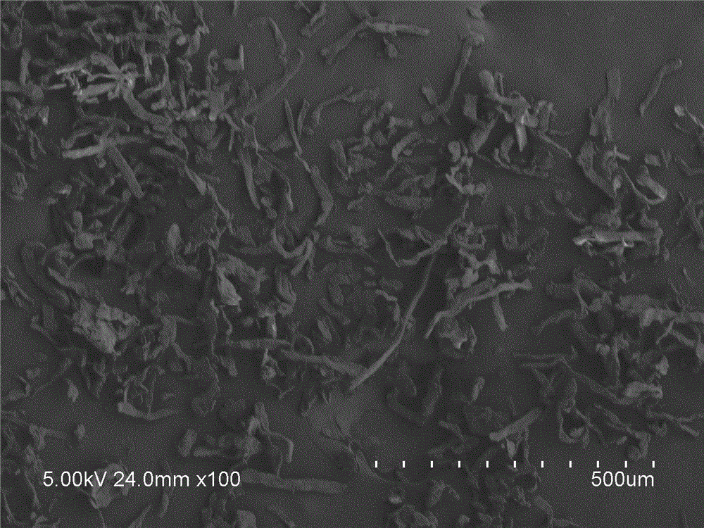 Toothpaste containing insoluble dietary fiber and sodium phytate, and preparation method of toothpaste