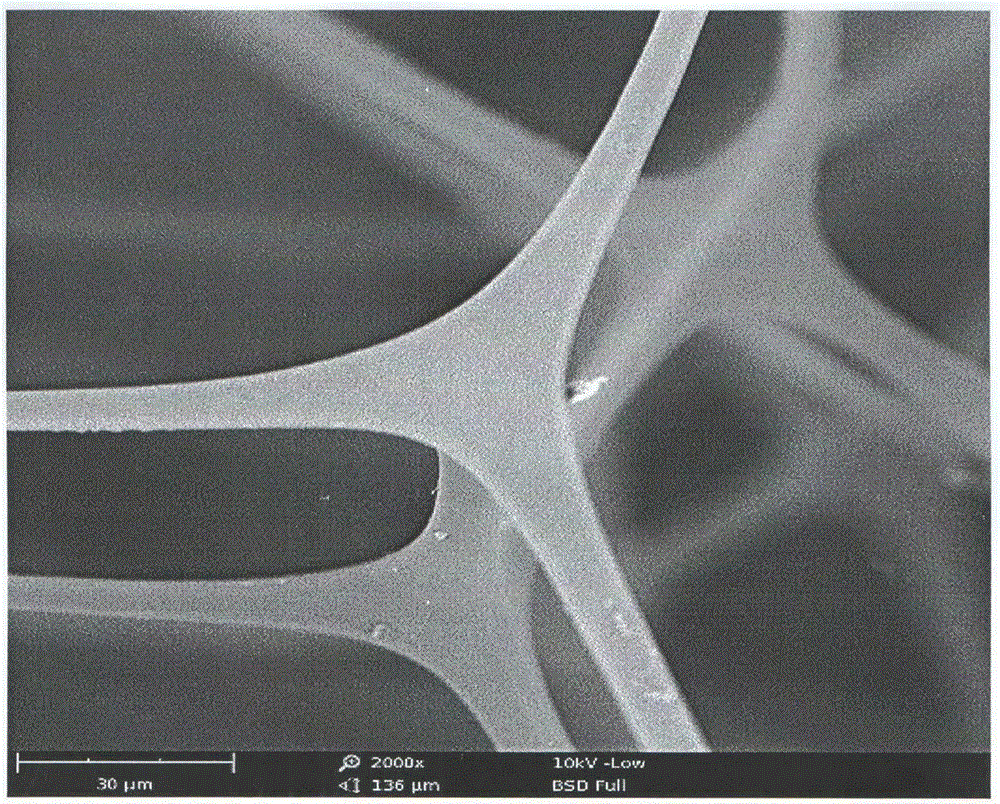 Preparing method for carbon nano tube foam material