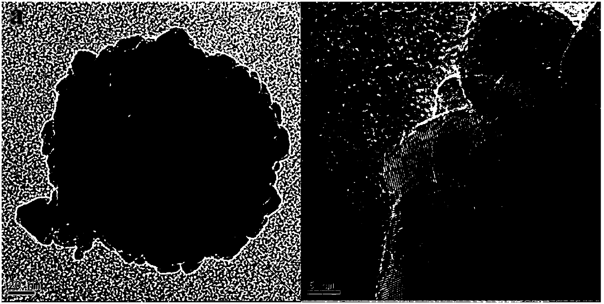 Positive electrode active material for zinc-bromine single-flow battery and preparation and application thereof