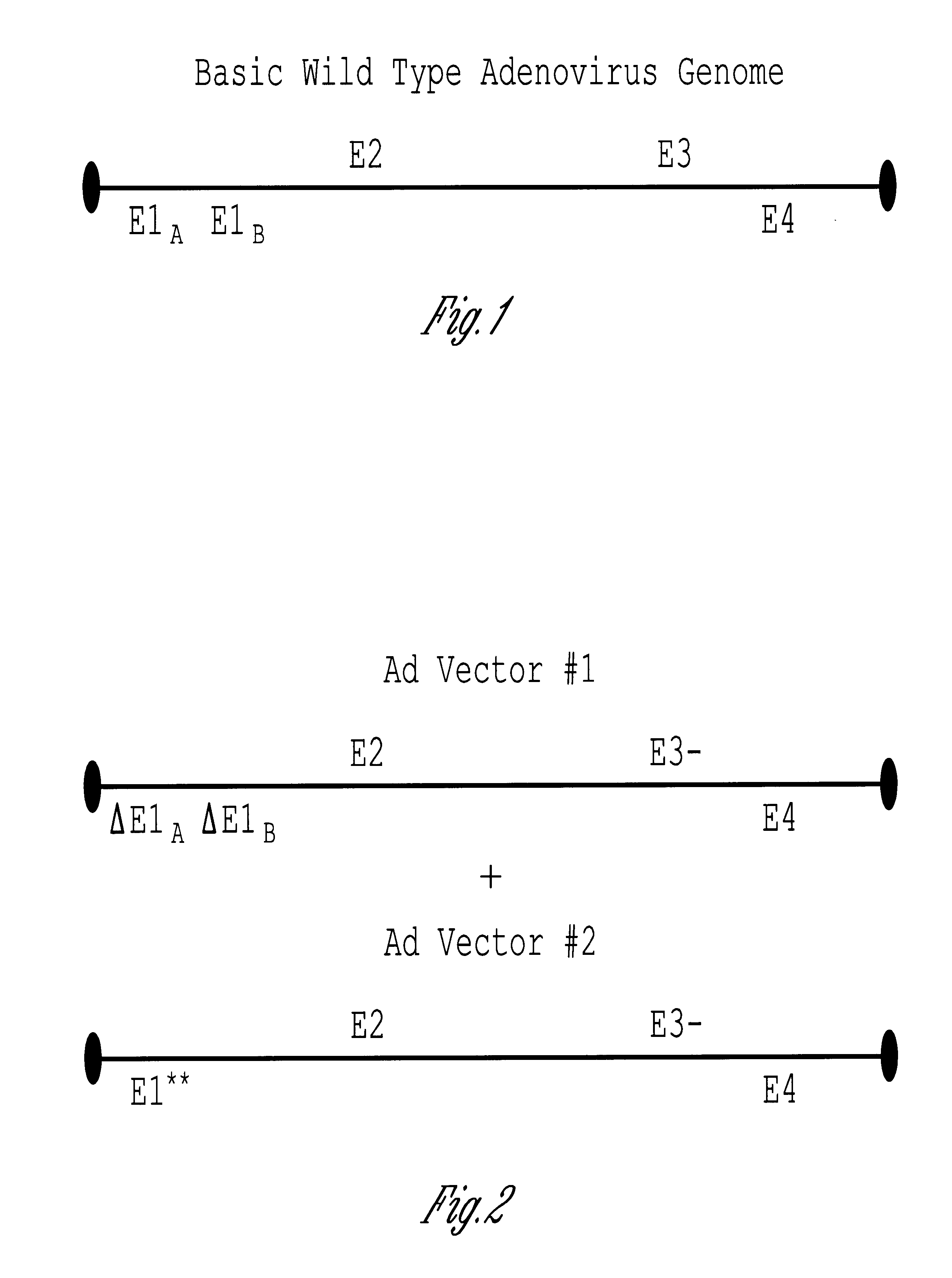 Methods and compositions for efficient gene transfer using transcomplementary vectors