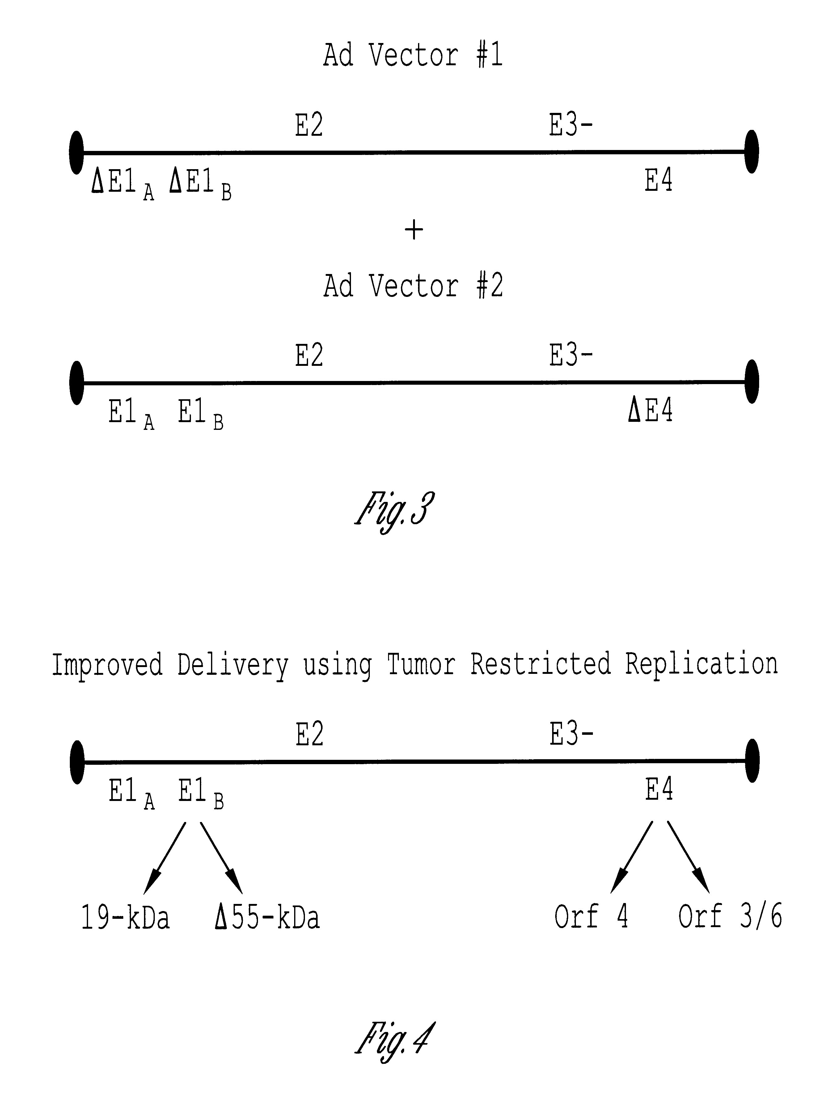Methods and compositions for efficient gene transfer using transcomplementary vectors