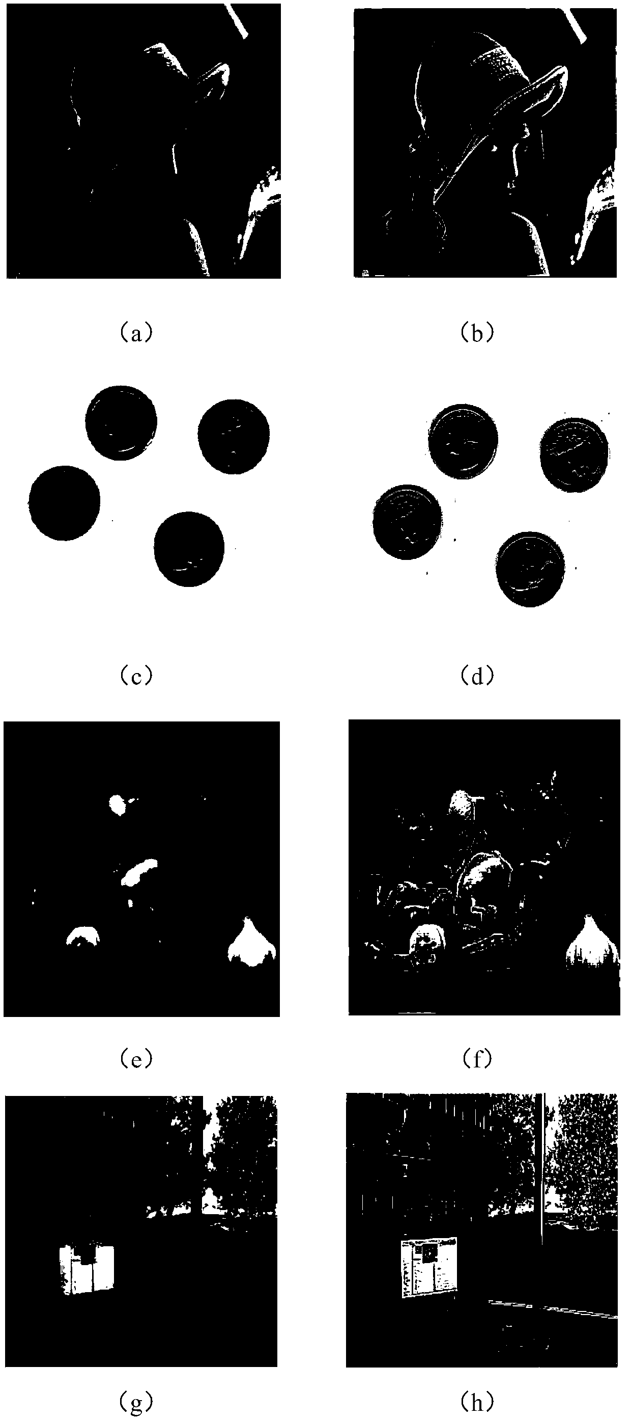 Optimal-order image enhancement method based on fractional differential image enhancement algorithm