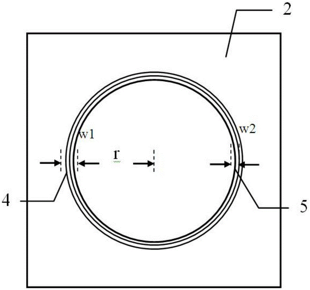 Manufacturing method of surface plasma lens