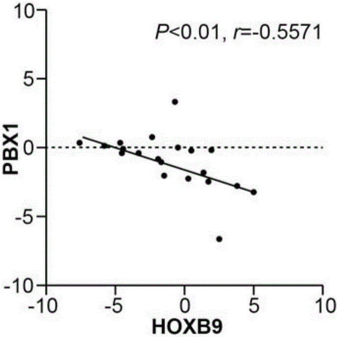 Gastric cancer detection kit adopting HOXB9 and PBX1 as biomarkers and application