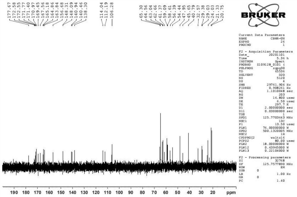 Cefepime arginine polymer as well as preparation method and application thereof