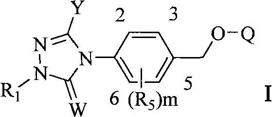 Triazoline ketone ether-substituted compound and application thereof