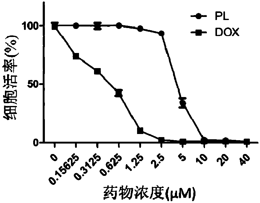 Compound medicine composite with breast cancer resistance function, application of composite and medicine based on composite