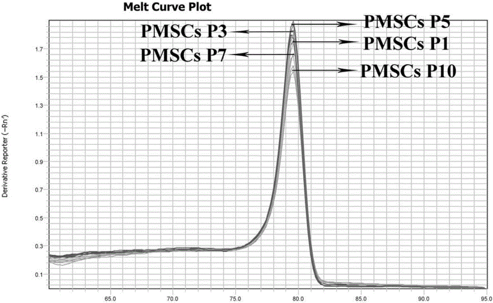 Primer and method for detecting Nanog gene expression quantity during mesenchymal stem cell passage