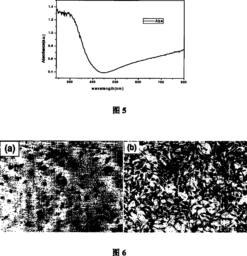 Coaxial double-pipe titanium dioxide nano-pipe array thin film and preparation method thereof