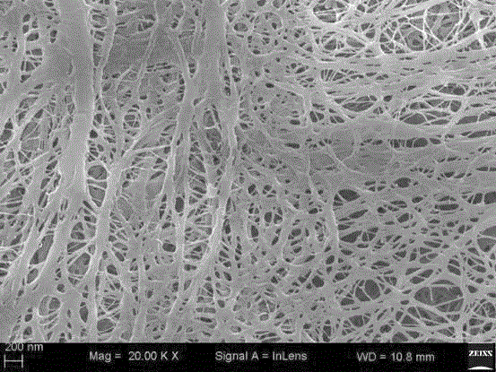 High-density polyethene micro porous membrane and preparation method therefor