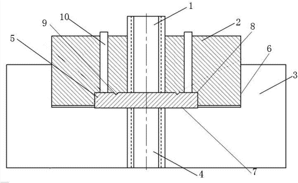 Rotary fine-stamping mold and method for helical cylindrical gear