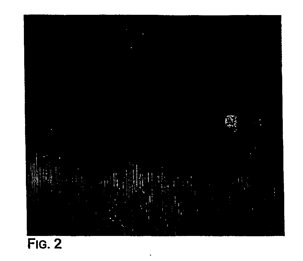 Method and compositions for detection and enumeration of genetic variations