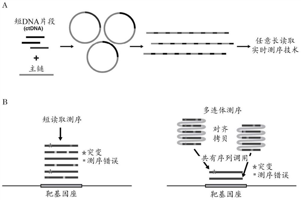 Methods for preparing nucleic acid molecules for sequencing