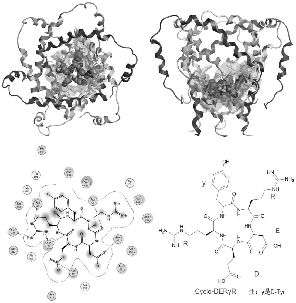 Synthesis method of cyclic pentapeptide and its application in anti-hepatitis C drugs
