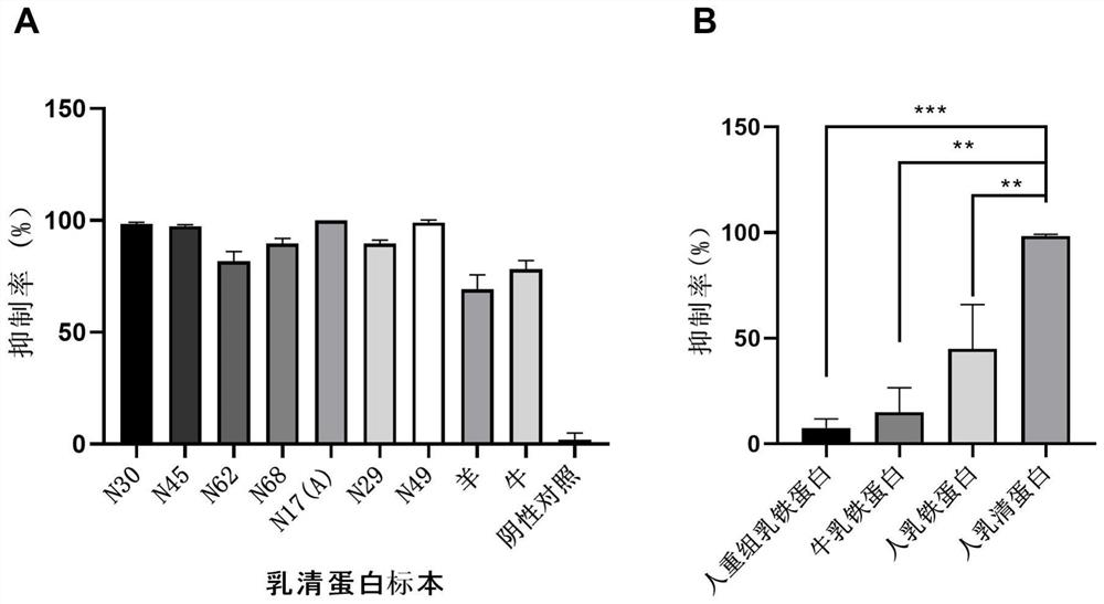 Application of whey protein as broad-spectrum inhibitor of coronaviruses