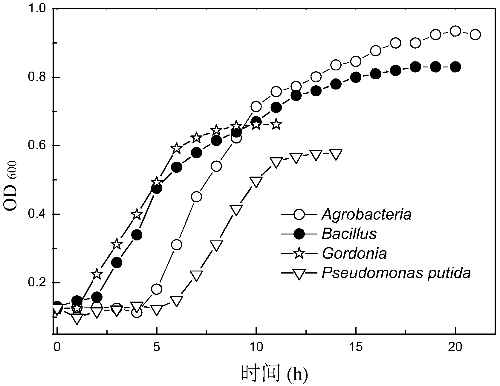 Dominant microflora for degrading deca-brominated diphenyl ether waste water and preparation method thereof