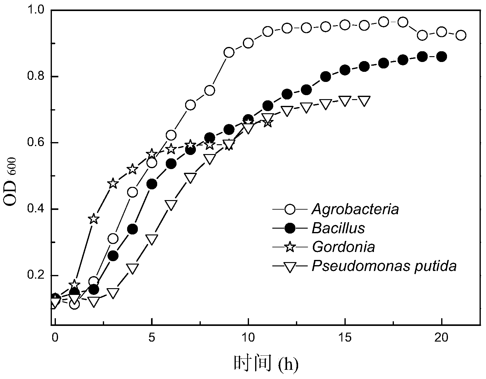 Dominant microflora for degrading deca-brominated diphenyl ether waste water and preparation method thereof