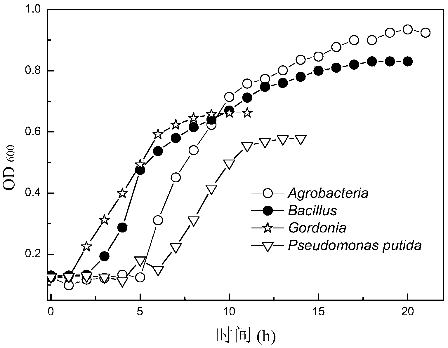 Dominant microflora for degrading deca-brominated diphenyl ether waste water and preparation method thereof