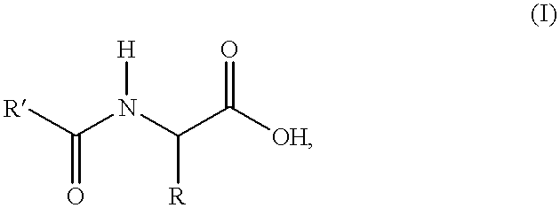 Process for the preparation of N-acylamino acids