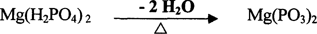 Magnesium metaphosphorate production process