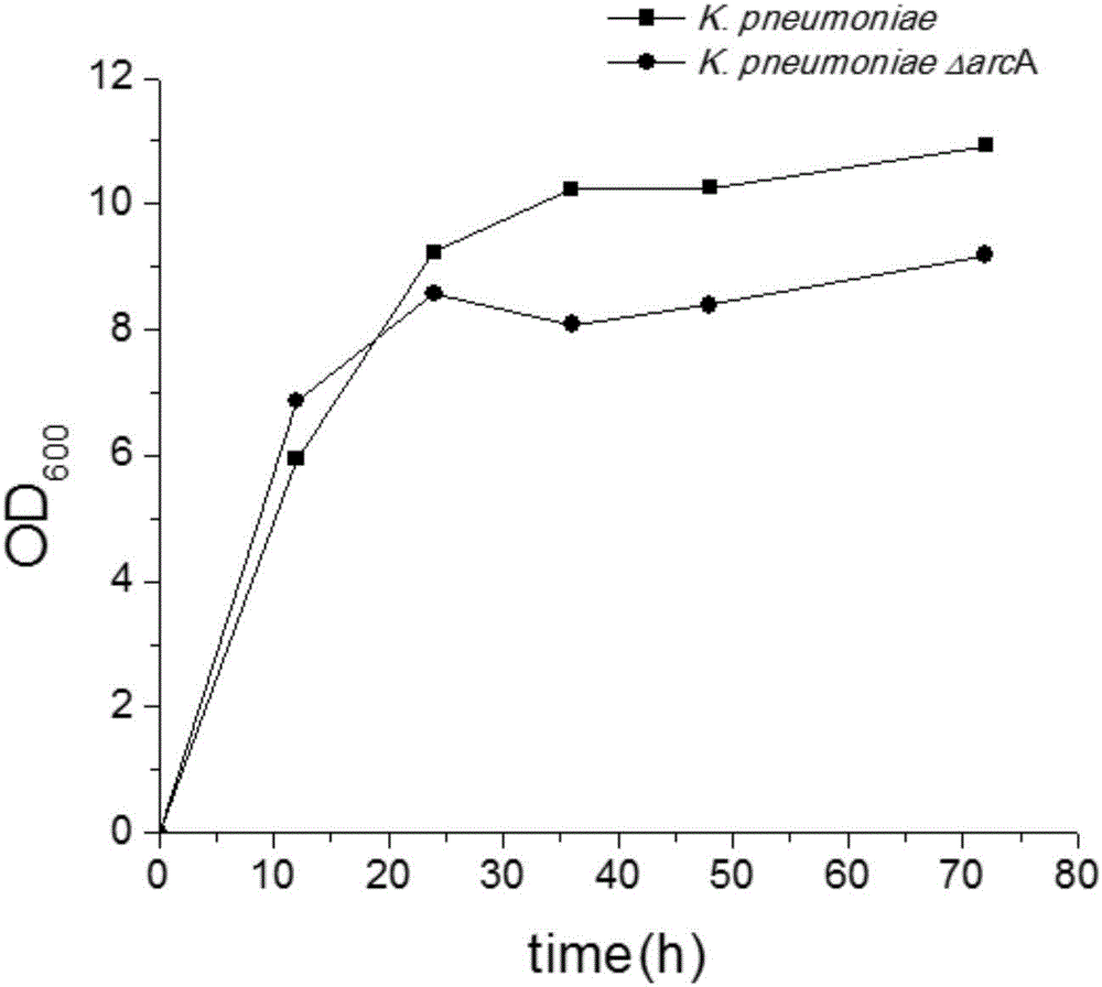 Method for knocking out arcA to increase yield of Klebsiella 1,3-propylene glycol