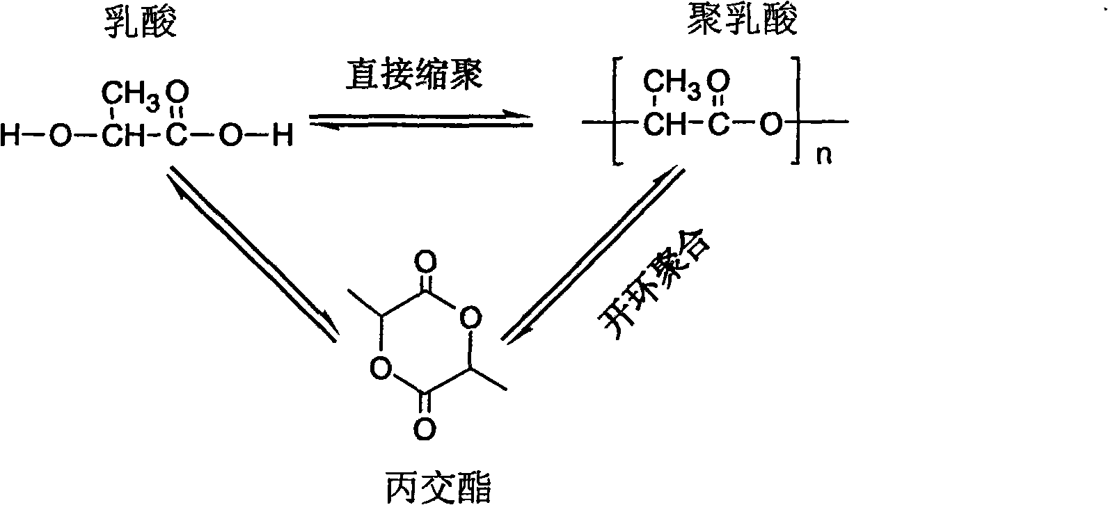 Polylactic acid composition containing sulfoacid compound and phosphorus-containing organic compound and preparation method thereof